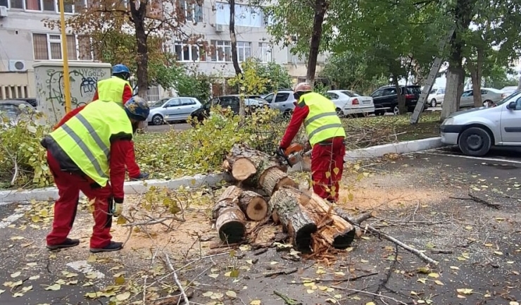 Foto: Primăria Constanța