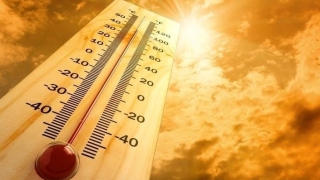 2019, al doilea cel mai călduros an din istoria măsurătorilor meteorologice