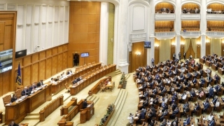 Camera Deputaţilor a adoptat abrogarea recursului compensatoriu