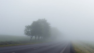 Avertizare ANM. Cod galben de ceaţă în Dobrogea