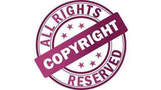 Ce decid europarlamentarii în privinţa drepturilor de autor
