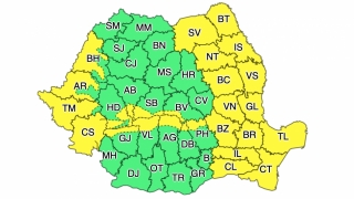 Cod galben de vânt în Dobrogea și în alte zone din țară
