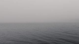 Avertizare ANM. Cod galben de ceață densă la Constanța