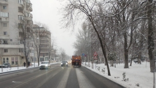 Circulația în municipiul Constanța se desfășoară în condiții normale de trafic