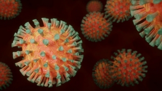 Coronavirus. 34 de persoane cu COVID-19 sunt internate în unităţile sanitare de profil