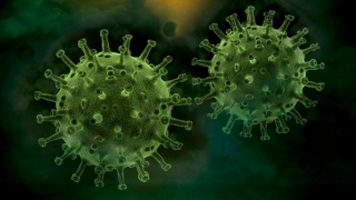 Coronavirus. Peste 3400 de cazuri noi de infectare cu SARS-CoV-2 în ultima săptămână