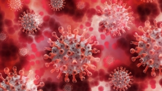 Coronavirus. Peste 2.200 de cazuri noi de COVID-19 în ultima săptămână