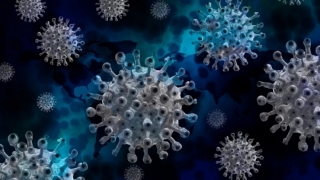 Coronavirus. 9.685 de noi cazuri, în ultimele 24 de ore, din 33.221 de teste