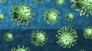 Coronavirus. Peste 2800 de cazuri, raportate în ultima săptămână