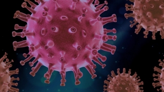 Coronavirus. 689 cazuri noi de infectare, în ultima săptămână