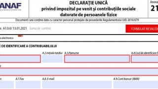 Termenul limită pentru depunerea Declaraţiei unice este 25 mai