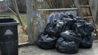 Amenzi la Constanța de aproape 200 de mii de lei pentru depozitarea ilegală de deșeuri