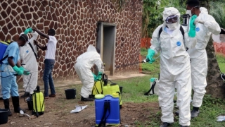 Ebola face victime!