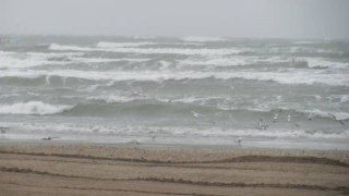 Ploi şi vânt puternic pe litoral de 1 Mai