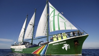 Greenpeace și nava Rainbow Warrior îi așteaptă pe cei mici de 1 Iunie