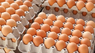 Autoritatea Sanitar-Veterinară verifică importurile de ouă din Europa