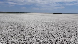 2020, cel mai secetos an agricol din istorie în zona Dobrogei