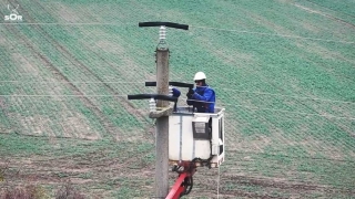 Linii electrice sigure pentru păsările din Dobrogea