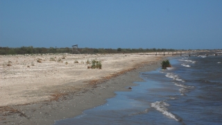 Care sunt regulile privind accesul în zonele costiere din perimetrul Rezervației Biosferei Delta Dunării