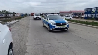 Razie a poliției în Portul Constanța. Sute de vehicule, verificate