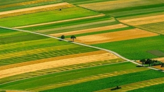 Terenuri alocate de Ministerul Agriculturii pentru tinerii fermieri