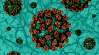 Un an de la descoperirea primului pacient infectat cu noul coronavirus în România. Peste 20.000 din cei infectați au murit în această perioadă