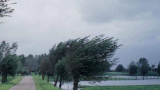 Avertizare meteo: Cod Galben de vânt în Dobrogea