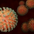 Coronavirus. Peste 5500 de cazuri noi raportate în ultima săptămână