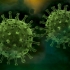 Coronavirus. Peste 400 de cazuri noi de infectare cu SARS-CoV-2 în ultima săptămână