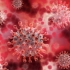 Coronavirus. Peste o sută de cazuri noi de SARS-CoV-2 și patru decese, raportate în ultima săptămână