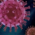 Coronavirus. 689 cazuri noi de infectare, în ultima săptămână