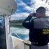 700 metri de plase, 87 kilograme de pește şi un exemplar de sturion descoperite de polițiștii de frontieră